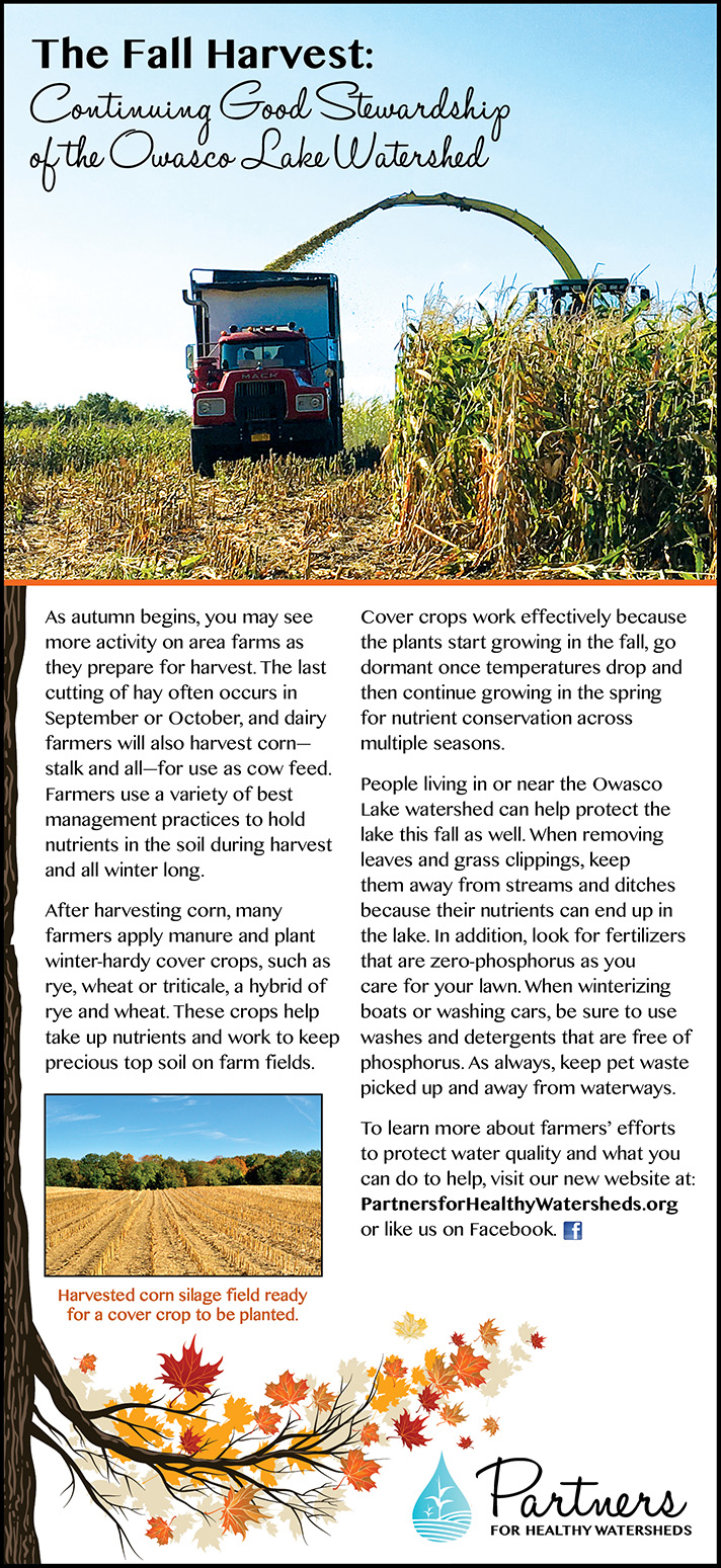 watershed healthy, cover crops, fall harvest, Owasco Lake